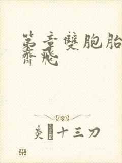 第章双胞胎姐妹齐飞