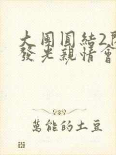 大团圆结2闪闪发光亲情会封面