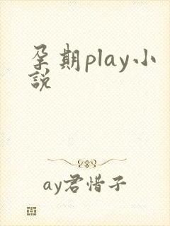 孕期play小说
