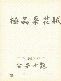 极品采花贼