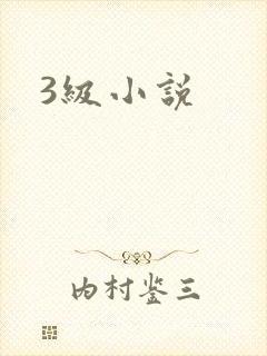 3级小说