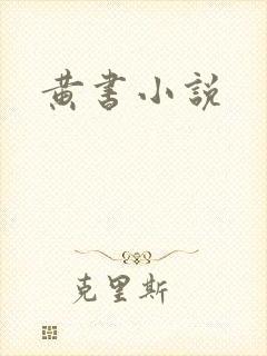 黄书小说