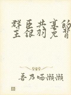 群臣共享的小公主银羽免背刺封面