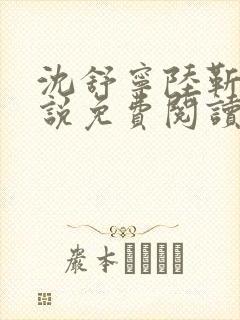 沈舒宁陆靳桥小说免费阅读最新章节封面