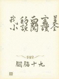 我的白富美老婆小说阅读全文封面