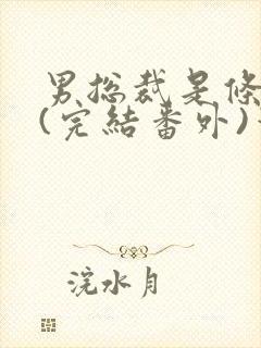 男总裁是条骚狗(完结番外)笔趣阁小说