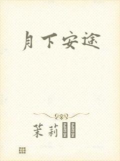 月下安途
