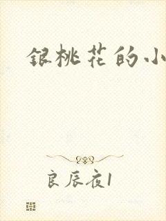 银桃花的小说封面