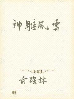 神雕风云