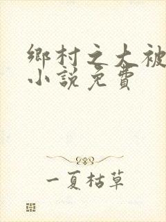 乡村之大被同眠小说免费