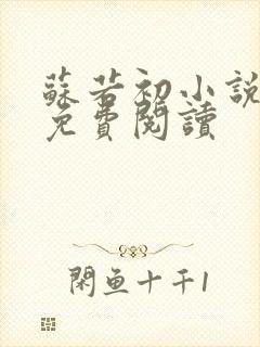 苏若初小说全文免费阅读