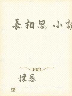 长相思 小说封面