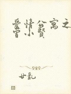 爱情公寓之极品曾小贤