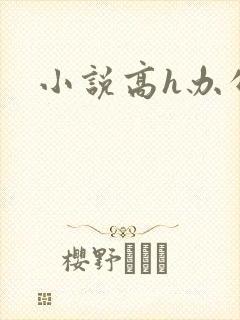 小说高h办公室封面