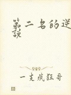 第二名的逆袭小说