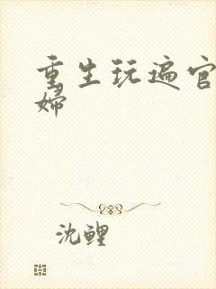 重生玩遍官场贵妇