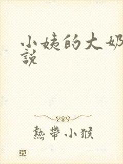 小姨的大奶子小说