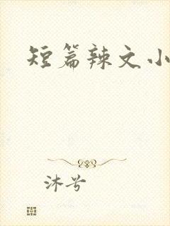 短篇辣文小说
