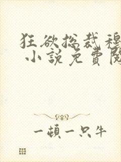 狂欲总裁穆非雪 小说免费阅读