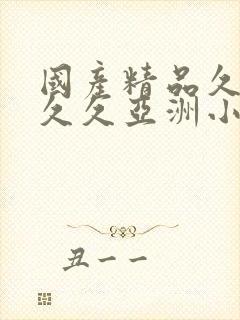 国产精品久久久久久亚洲小说