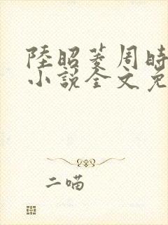 陆昭菱周时阅的小说全文免费阅读封面