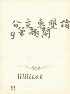 公交车双指探洞g笔趣阁