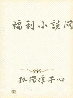 福利小说网