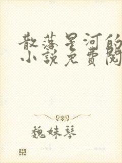 散落星河的记忆小说免费阅读全文封面