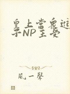 皇上当众进入太子NP主受