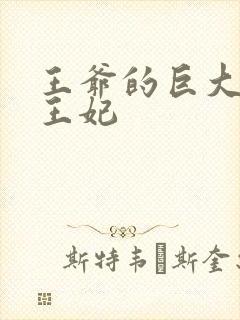王爷的巨大进入王妃封面