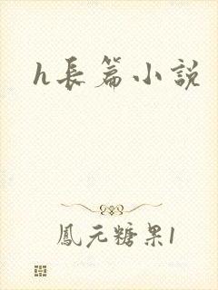 h长篇小说