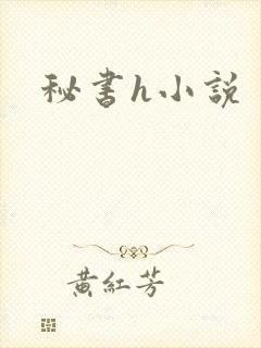 秘书h小说
