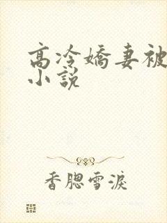 高冷娇妻被人操小说