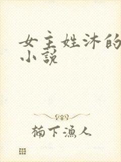 女主姓沐的所有小说