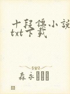 十段锦小说全本txt下载