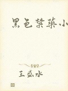 黑色禁药小说