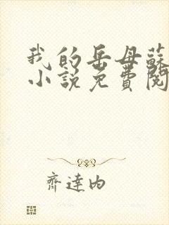 我的岳母苏沛真小说免费阅读