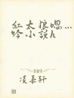 红太狼嗯…啊呻吟小说h封面