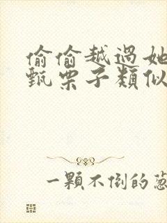 偷偷越过她by甄栗子类似小说