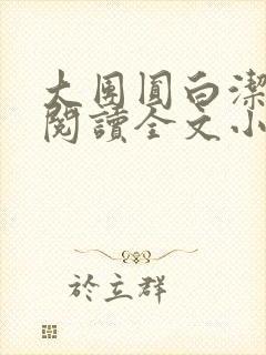 大团圆白洁免费阅读全文小说
