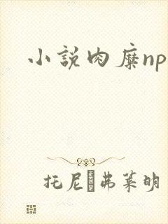 小说肉糜np