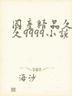 国产精品久久久久9999小说