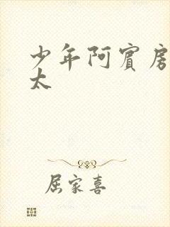 少年阿宾房东太太