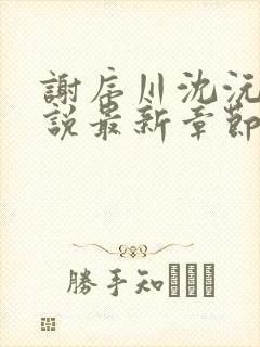 谢序川沈沅珠小说最新章节免费阅读