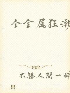 全金属狂潮小说