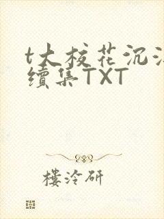 t大校花沉浮录续集TXT