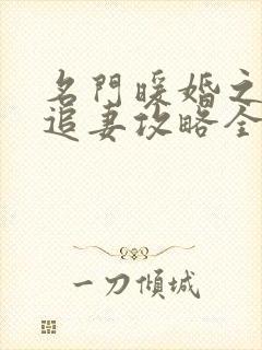 名门暖婚之权爷追妻攻略全文免费阅读