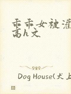 乖乖女被灌满精高h文