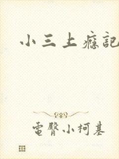 小三上瘾记封面