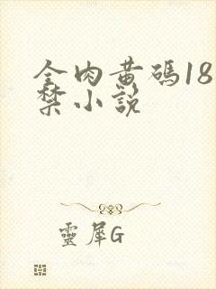 全肉黄码18无禁小说